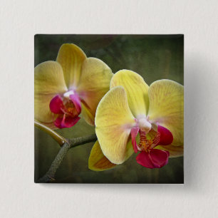 Badge Carré 5 Cm Orchidées de mite jaunes - Phalaenopsis