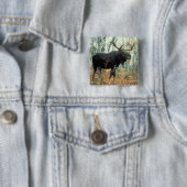 Badge Carré 5 Cm Orignaux énormes (En situation)