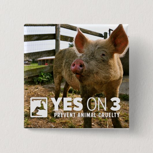 Badge Carré 5 Cm Oui sur 3 ! Mini bouton (Devant)