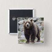 Badge Carré 5 Cm Ours de Kodiak (Devant & derrière)