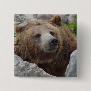 Badge Carré 5 Cm Ours Kodiak