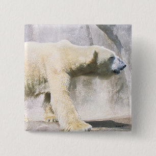 Badge Carré 5 Cm ours polaire