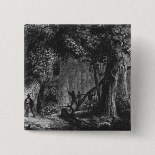 Badge Carré 5 Cm Ouverture de forêt de 'Bresil, Columbie à