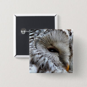 BADGE CARRÉ 5 CM OWLS