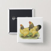 Badge Carré 5 Cm Paire Brahma Buff (Devant & derrière)