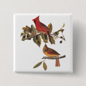 Badge Carré 5 Cm Paire cardinale Audubon en amandiers sauvages (Devant)