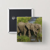 Badge Carré 5 Cm Paire d'éléphants africains Masai Mara (Devant & derrière)