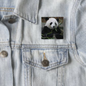 Badge Carré 5 Cm Panda géant (En situation)