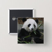 Badge Carré 5 Cm Panda géant (Devant & derrière)