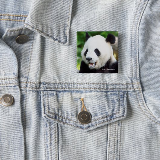 Badge Carré 5 Cm Panda géant mangeant le bambou (En situation)