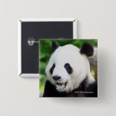 Badge Carré 5 Cm Panda géant mangeant le bambou (Devant & derrière)