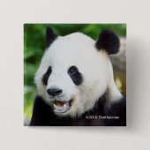 Badge Carré 5 Cm Panda géant mangeant le bambou (Devant)