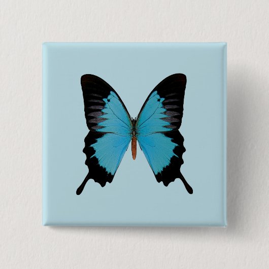 Badge Carré 5 Cm Paon Royal (Devant)