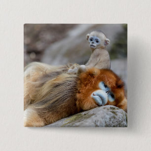 Badge Carré 5 Cm Papa singe à nez doré avec bébé