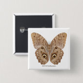 Badge Carré 5 Cm Papillon de hibou (Devant & derrière)