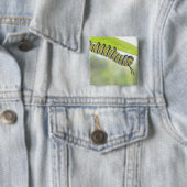 Badge Carré 5 Cm Papillon de monarque Caterpillar explorant un (En situation)