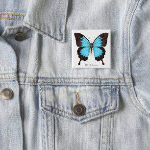 Badge Carré 5 Cm Papillon d'Ulysse