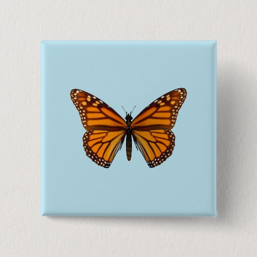 Badge Carré 5 Cm Papillon Monarque (Devant)