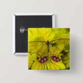 Badge Carré 5 Cm Papillon sur jaune (Devant & derrière)