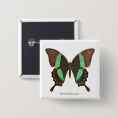 Badge Carré 5 Cm Papillon vert de machaon (Devant & derrière)