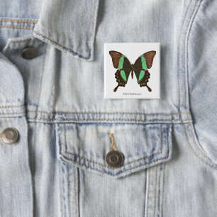 Badge Carré 5 Cm Papillon vert de machaon