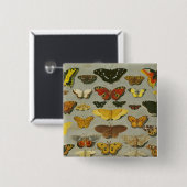 Badge Carré 5 Cm Papillons (Devant & derrière)