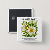 Badge Carré 5 Cm Paquet de graines de marguerite de Shasta vintage (Devant & derrière)