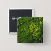 Badge Carré 5 Cm Parc national de Bach mA (Devant & derrière)