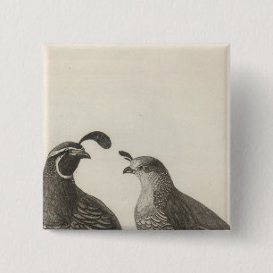 Badge Carré 5 Cm Partridge de Californie