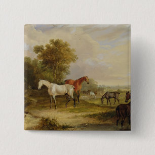 Badge Carré 5 Cm Pâturage de chevaux : Un étalon gris frôlant av