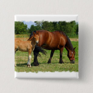 Badge Carré 5 Cm Pâturage du Pin de carré de famille de cheval