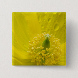 Badge Carré 5 Cm Pavot jaune oriental