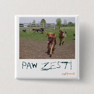 Badge Carré 5 Cm Paw zest !