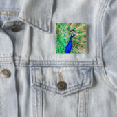Badge Carré 5 Cm Peacock Plumage (En situation)