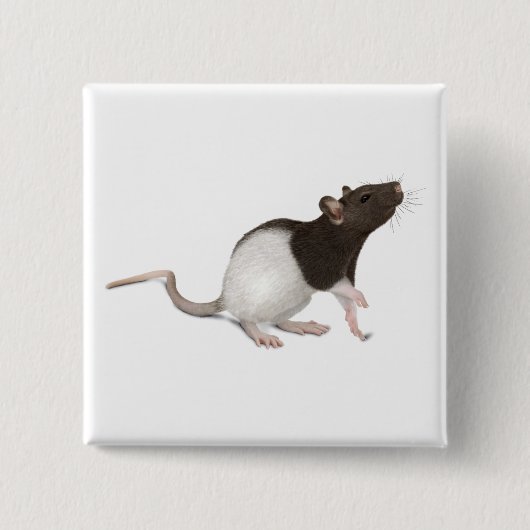 Badge Carré 5 Cm Peinture de rat pour animaux (Devant)