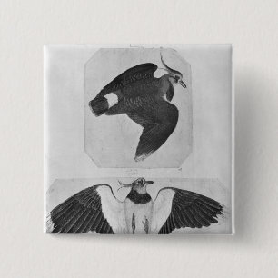 Badge Carré 5 Cm Perruches, le de l'album de Vallardi