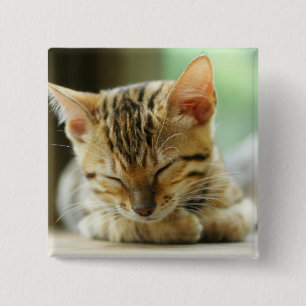 Badge Carré 5 Cm Petit bébé de sommeil Kitty