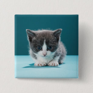 Badge Carré 5 Cm Petit chaton