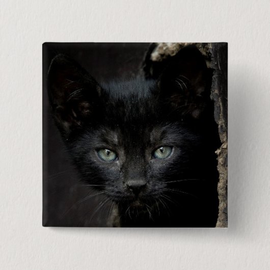 Badge Carré 5 Cm Petit Kitty noir (Devant)