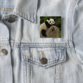 Badge Carré 5 Cm Petit panda géant (En situation)