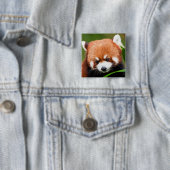 Badge Carré 5 Cm Petit Panda Rouge (En situation)