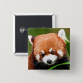 Badge Carré 5 Cm Petit Panda Rouge (Devant & derrière)