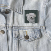 Badge Carré 5 Cm Petit portrait de chien blanc (En situation)