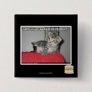 Badge Carré 5 Cm Pets I dans le direkshun gen'ral de yor