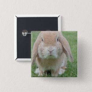 Badge Carré 5 Cm photo de lapin grave