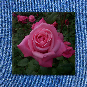 Badge Carré 5 Cm Photo de rose rose