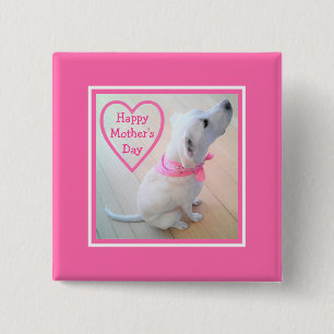 Badge Carré 5 Cm Photo du mignon chien portant l'écharpe rose Fête