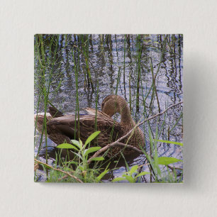 Badge Carré 5 Cm Photo rapprochée d'un canard