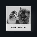 Badge Carré 5 Cm Photo simple, moderne personnalisée pour animaux d<br><div class="desc">Ajoutez votre propre photo et texte pour créer un petit cadeau photo. Ce bouton ou épingle en forme de carré est prêt à être customisé avec votre photo et vos propres noms ou message en lettres de style machine à écrire noir en détresse. Le style simple, moderne, noir et blanc...</div>
