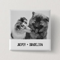Photo simple, moderne personnalisée pour animaux d